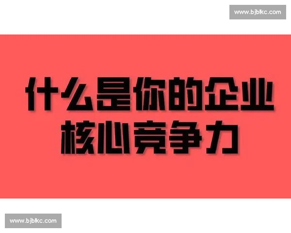 围绕企业核心竞争力全面推进估值提升战略路径探索资本市场实践路