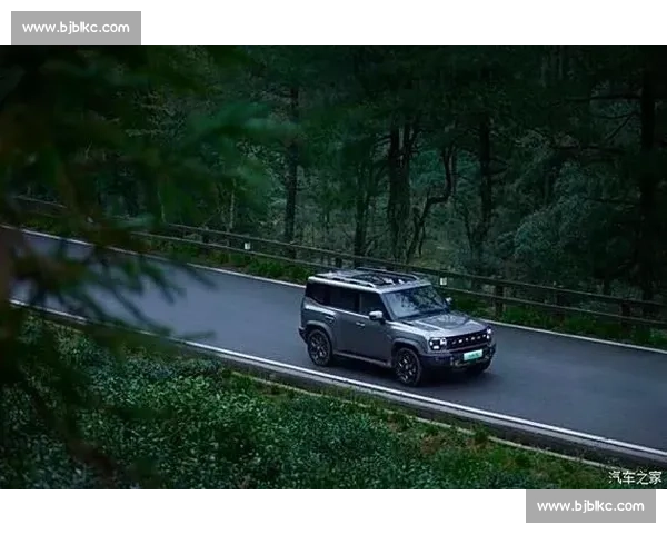 在城市与山野之间畅享踩单车的自由与风景之旅健康生活新方式探索