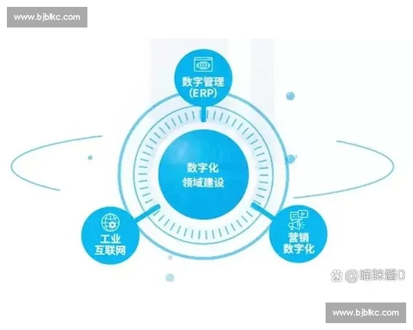 以数据驱动为核心推动企业数字化转型提升创新能力与市场竞争力